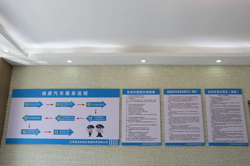 循環(huán)經(jīng)濟(jì)下的拆解與新生 單縣北外環(huán)大型報(bào)廢機(jī)動(dòng)車與廢棄電器電子產(chǎn)品處理廠掠影